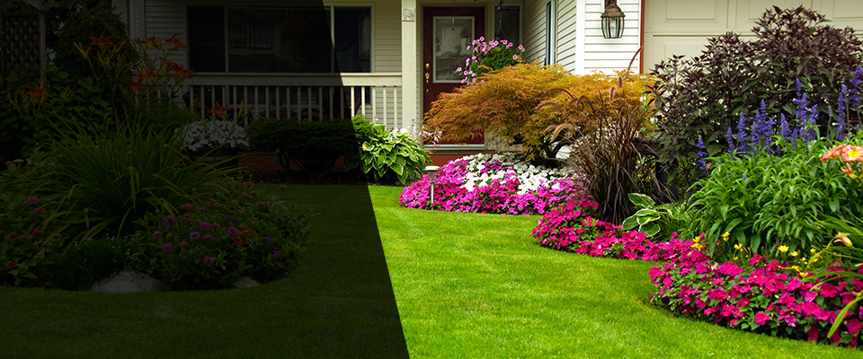 Lexington Landscapers